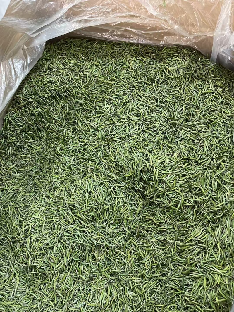 湄潭新茶大量上市