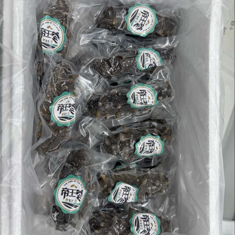 帝王鲜食海参