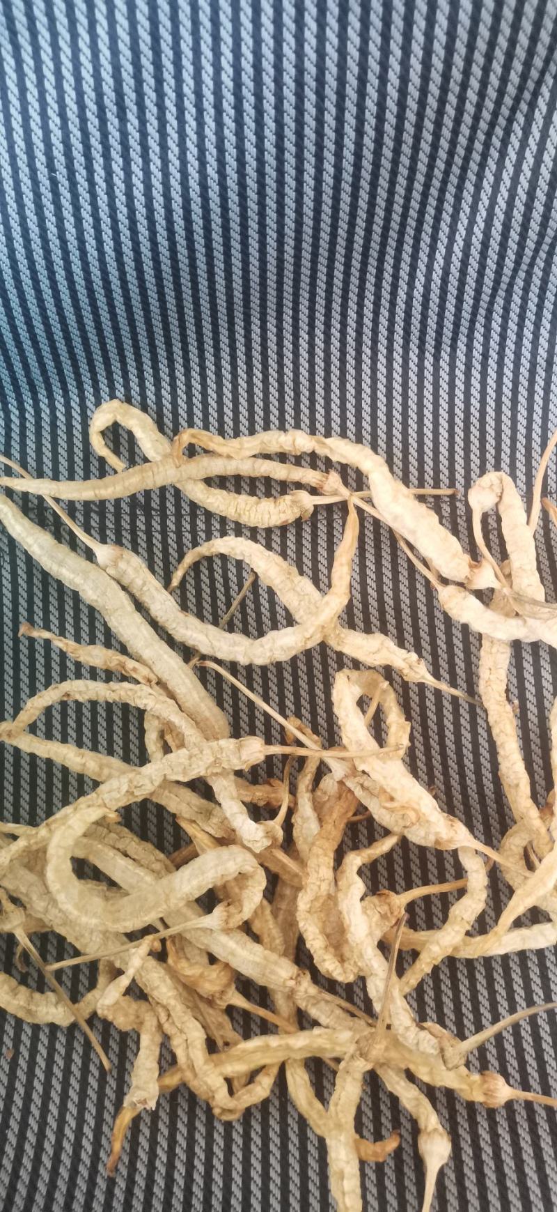 白辣椒无盐水煮