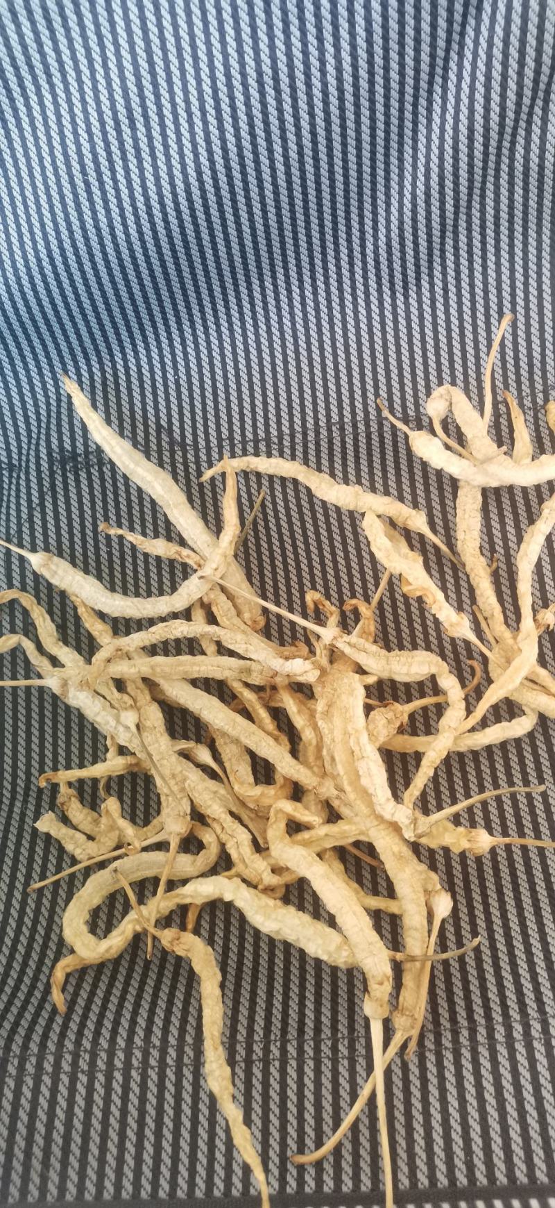 白辣椒无盐水煮