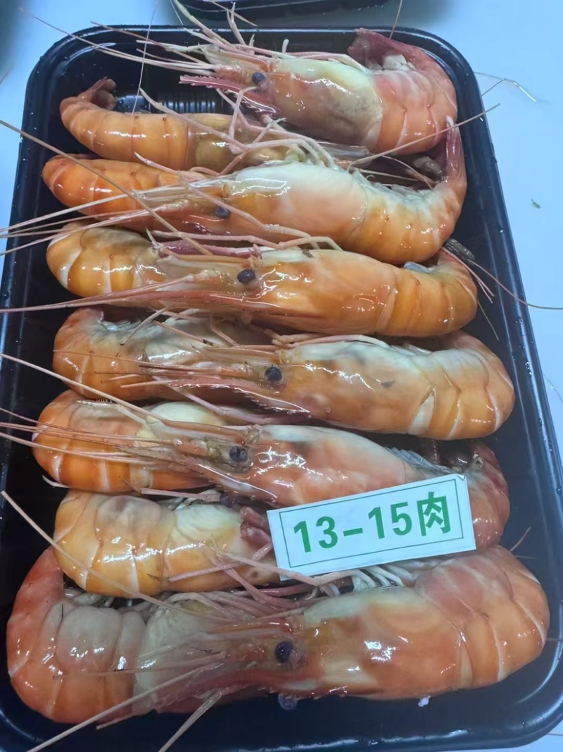 罗氏虾，熟冻，活虾现煮，规格齐全，一手货源，大量有货