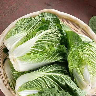 各种高山蔬菜代办