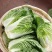 各种高山蔬菜代办