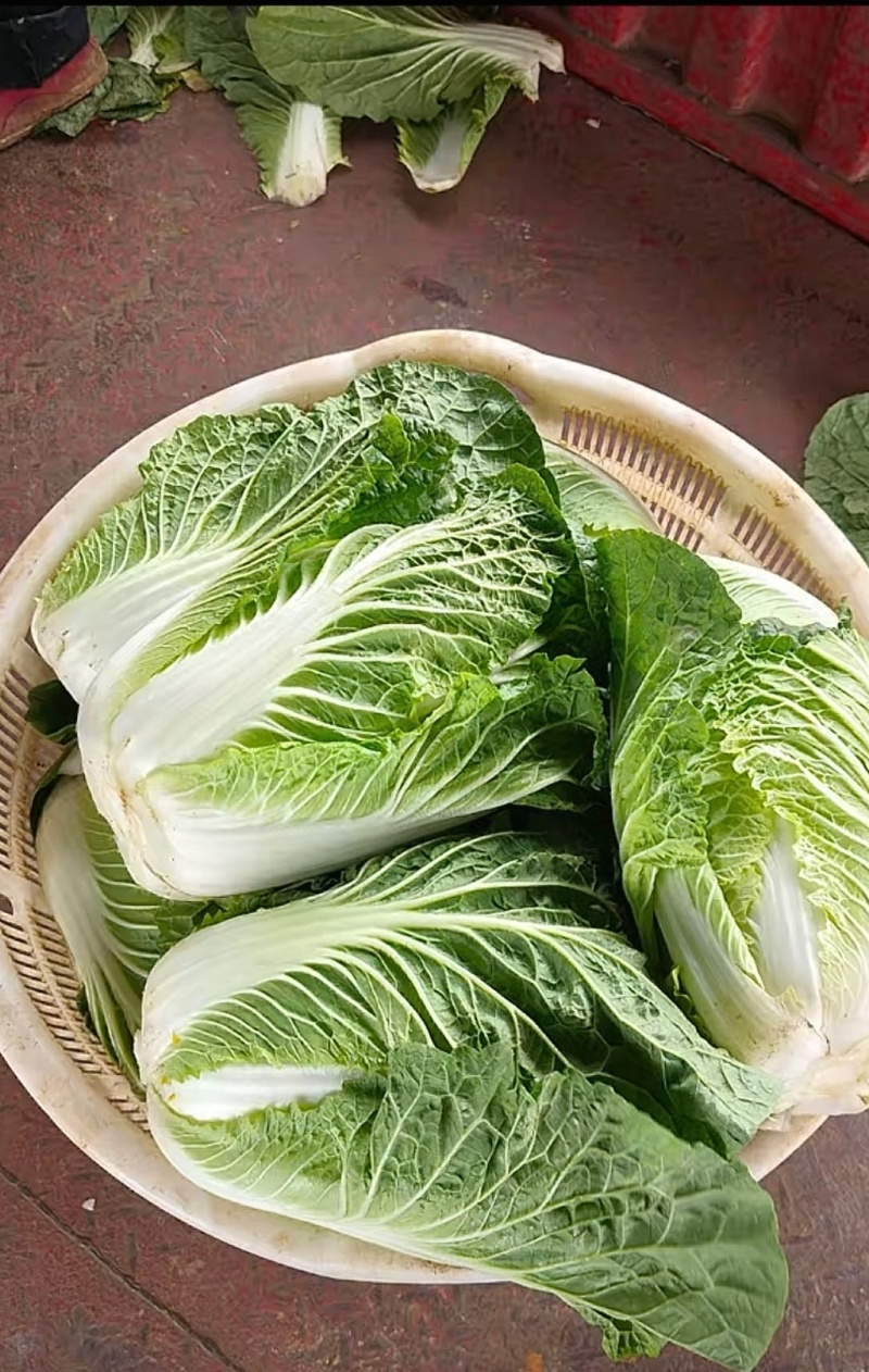 各种高山蔬菜代办