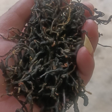 大众茶叶