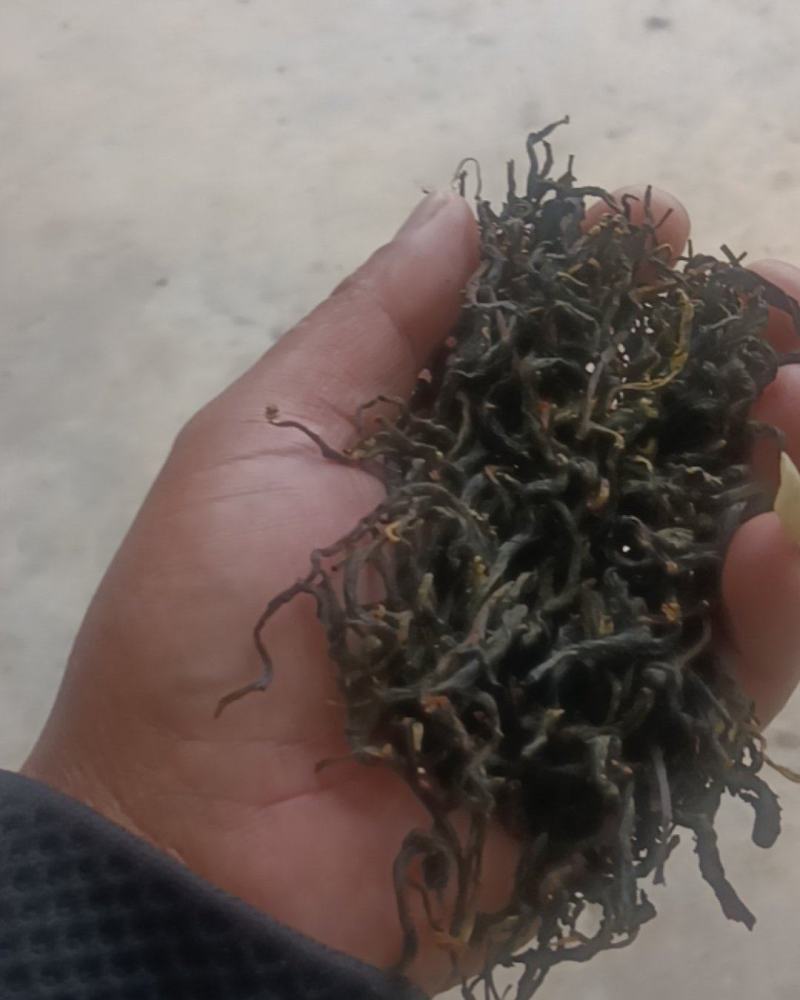 大众茶叶