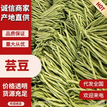 精品圆芸豆小金豆扁芸豆山东莘县需要联系欢迎来电！