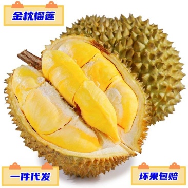 顺丰快递一件代发泰国金枕头榴莲供各大电商平台抖音直播淘宝