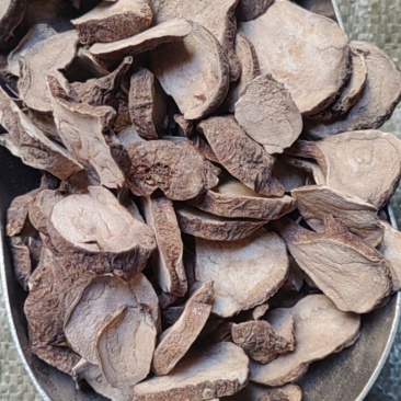 生附片产地价格