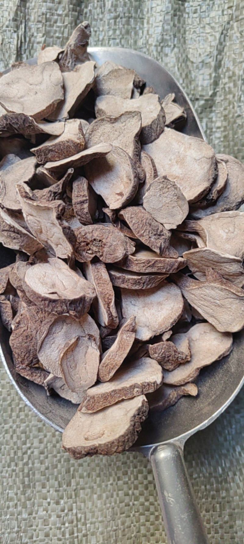 生附片产地价格