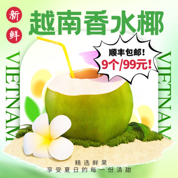 规格齐全椰子超高性价比下单秒发【批发价格低】