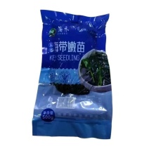 盐渍海带苗全国可发对接各大商超工厂直销价格透明