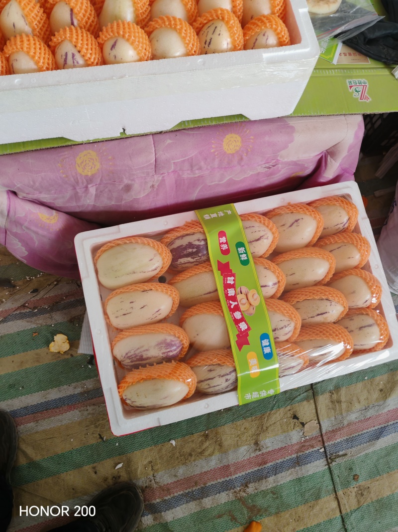 民勤县人参果花纹果打板货小花纹小白果大白果