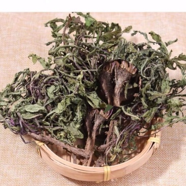 纯野生蒲公英干货