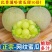 海阳网纹瓜