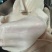 鲜牛耳朵，全熟***无碱（不掉称）