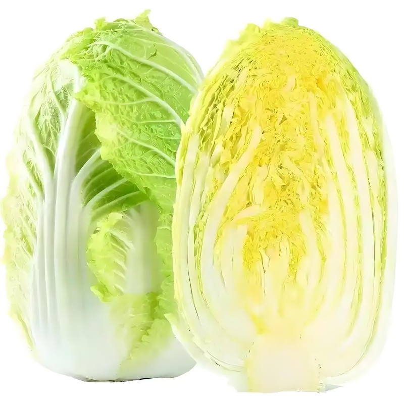 【精品白菜】黄心大白菜山东蔬菜基地产地直发