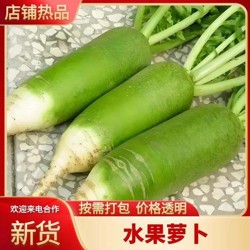 水果萝卜精品萝卜大量上市市场批发电商冰激淋萝卜