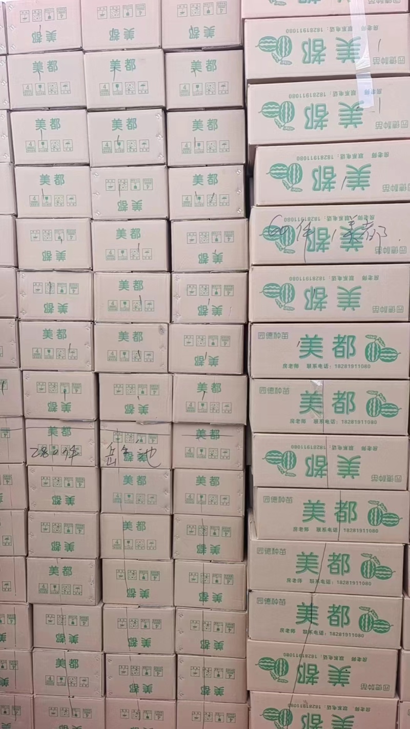 【推荐】四川西瓜苗/嫁接苗/一手货源/视频看货/欢迎咨询