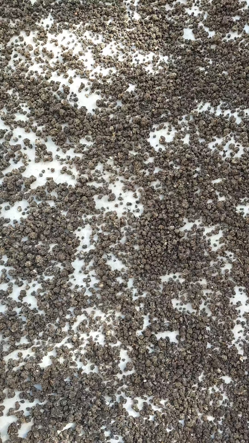 中药猫爪草野生猫爪草水洗干货品质保证支持批发零售