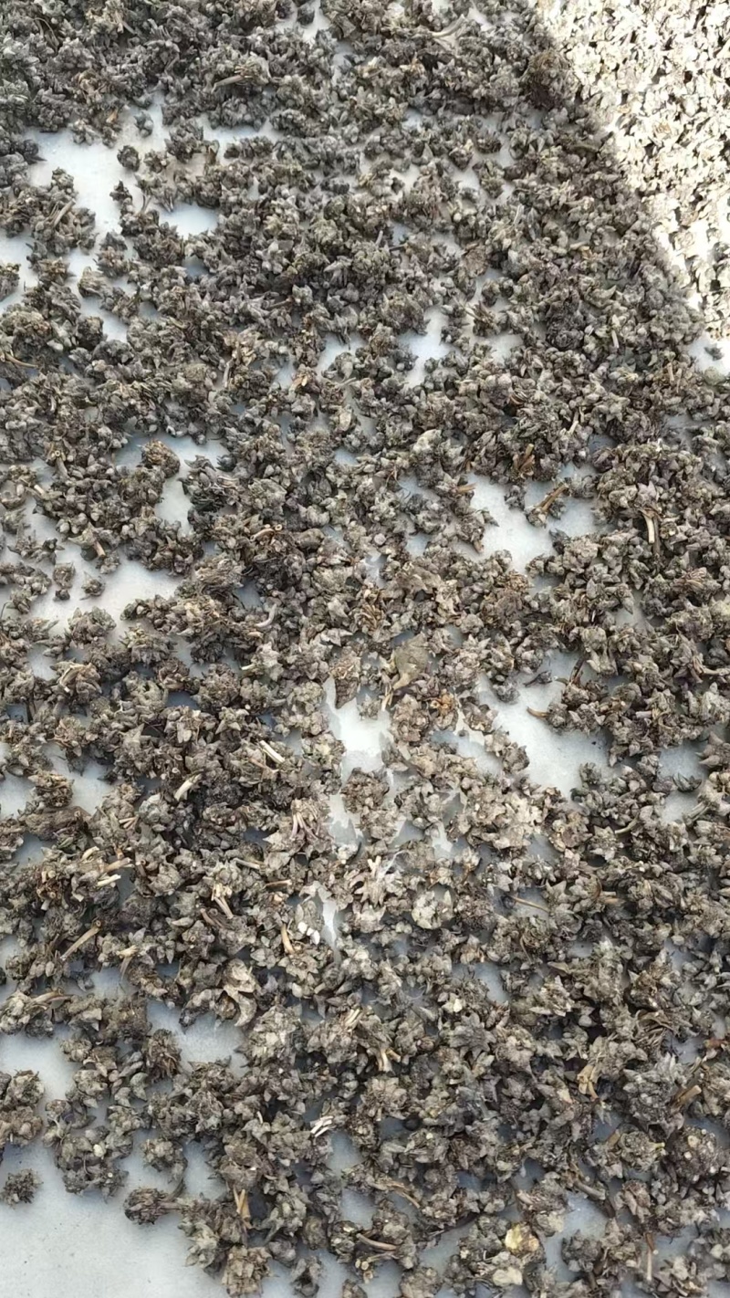中药猫爪草野生猫爪草水洗干货品质保证支持批发零售