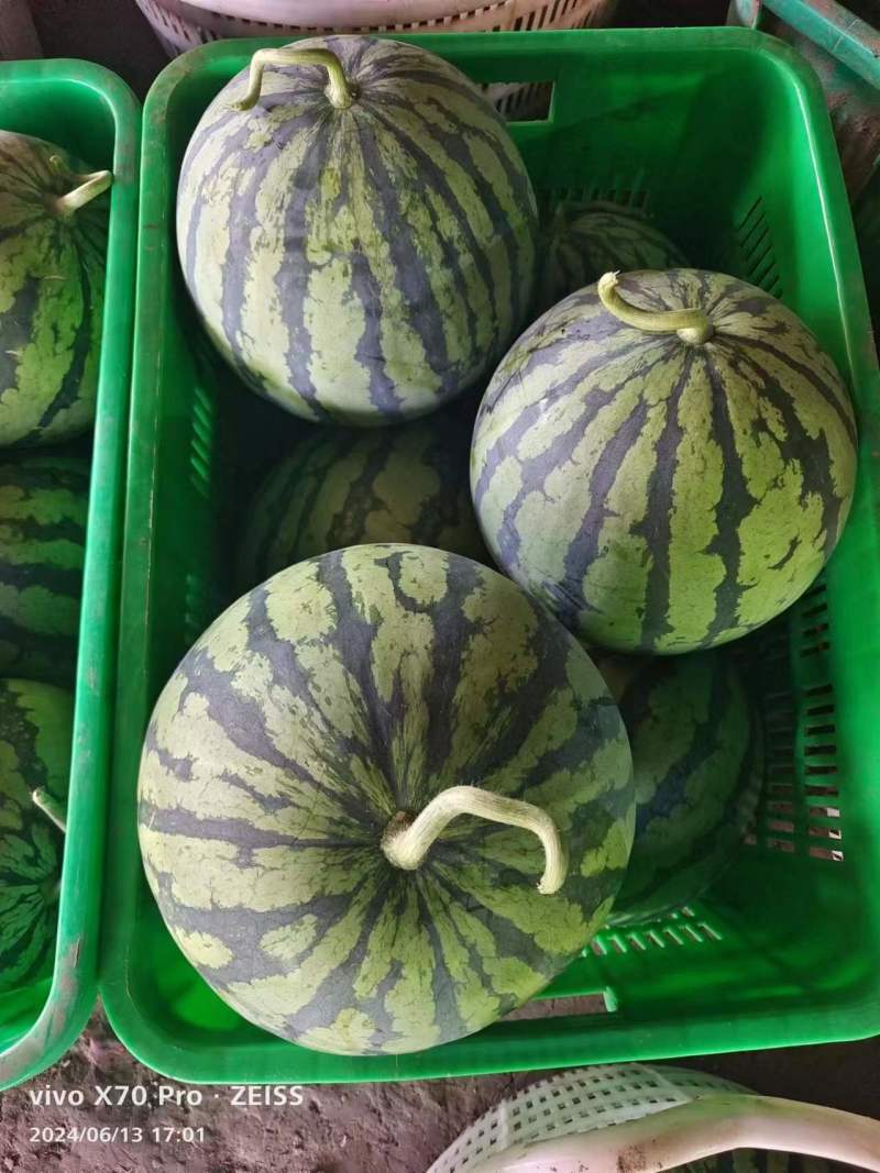 【推荐】四川西瓜/美都西瓜/产地直发/对接商超批发市场