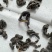 青钱柳嫩芽茶（现采现制，需预定）100斤起售