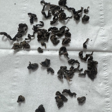 青钱柳嫩芽茶（现采现制，需预定）100斤起售