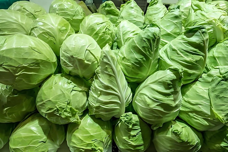 牛心包菜尖包菜牛心甘蓝可视频看货品质保证产地直发