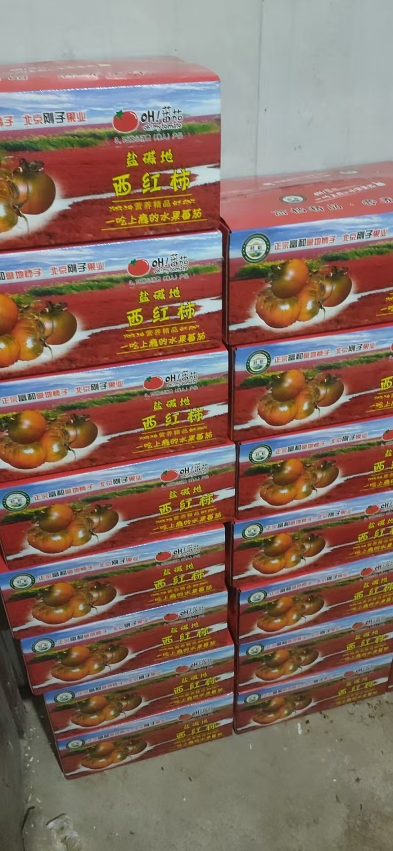 【西红柿】盘锦碱地西红柿对接商超批发产地直发，质量保证