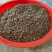 猫爪草大量上市了价格优惠大量现货品质保证欢迎