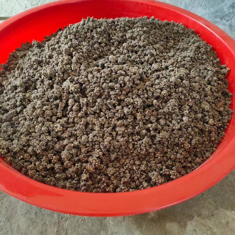 猫爪草大量上市了价格优惠大量现货品质保证欢迎