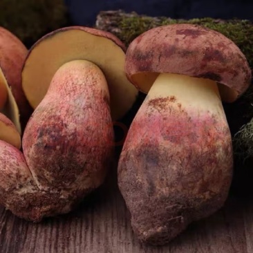 野生菌