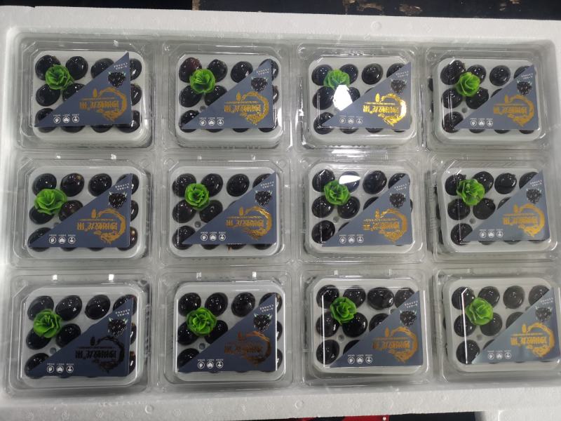 【品质保障】辽宁沙岗蛟龙果嘉宝果量大优惠对接全国批发