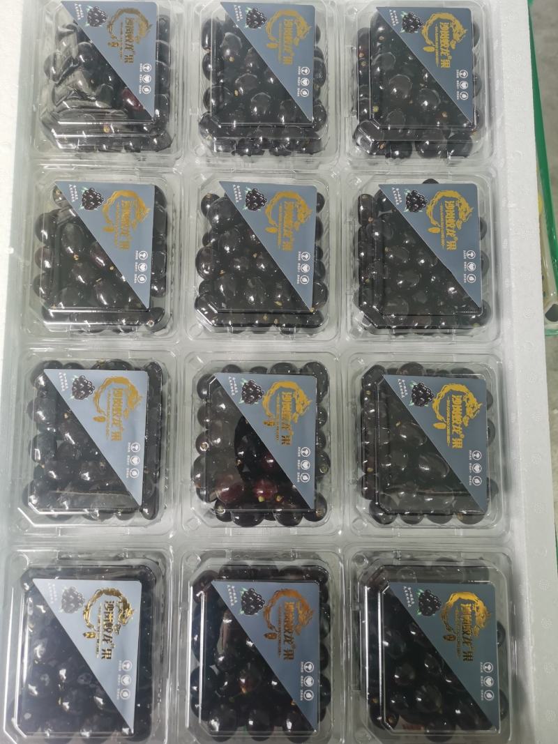 【品质保障】辽宁沙岗蛟龙果嘉宝果量大优惠对接全国批发