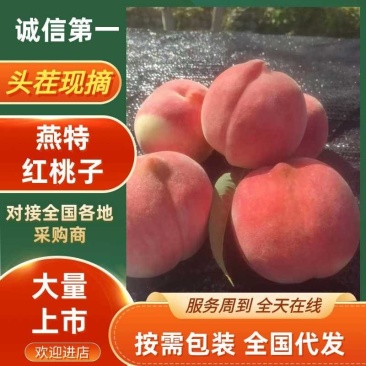 燕特红桃子清脆可口香甜红桃大量有货可视频看货欢迎咨询
