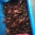 50斤包直达运费。湖北潜江小龙虾，新鲜发货，货源充足