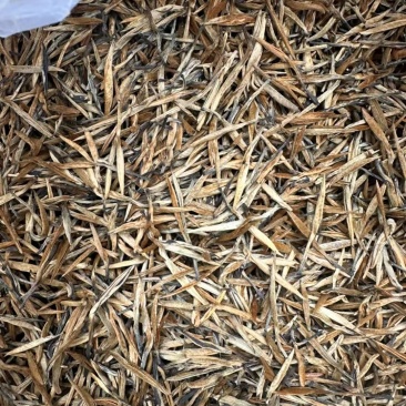 云南滇红茶