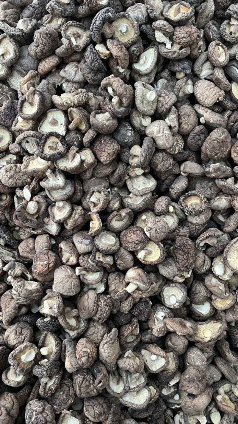 香菇干货原产地发货大量有货去柄