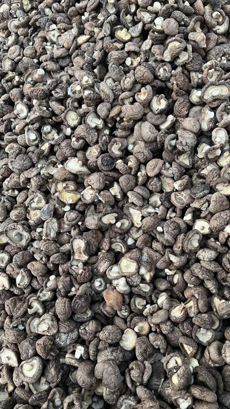 香菇干货原产地发货大量有货去柄