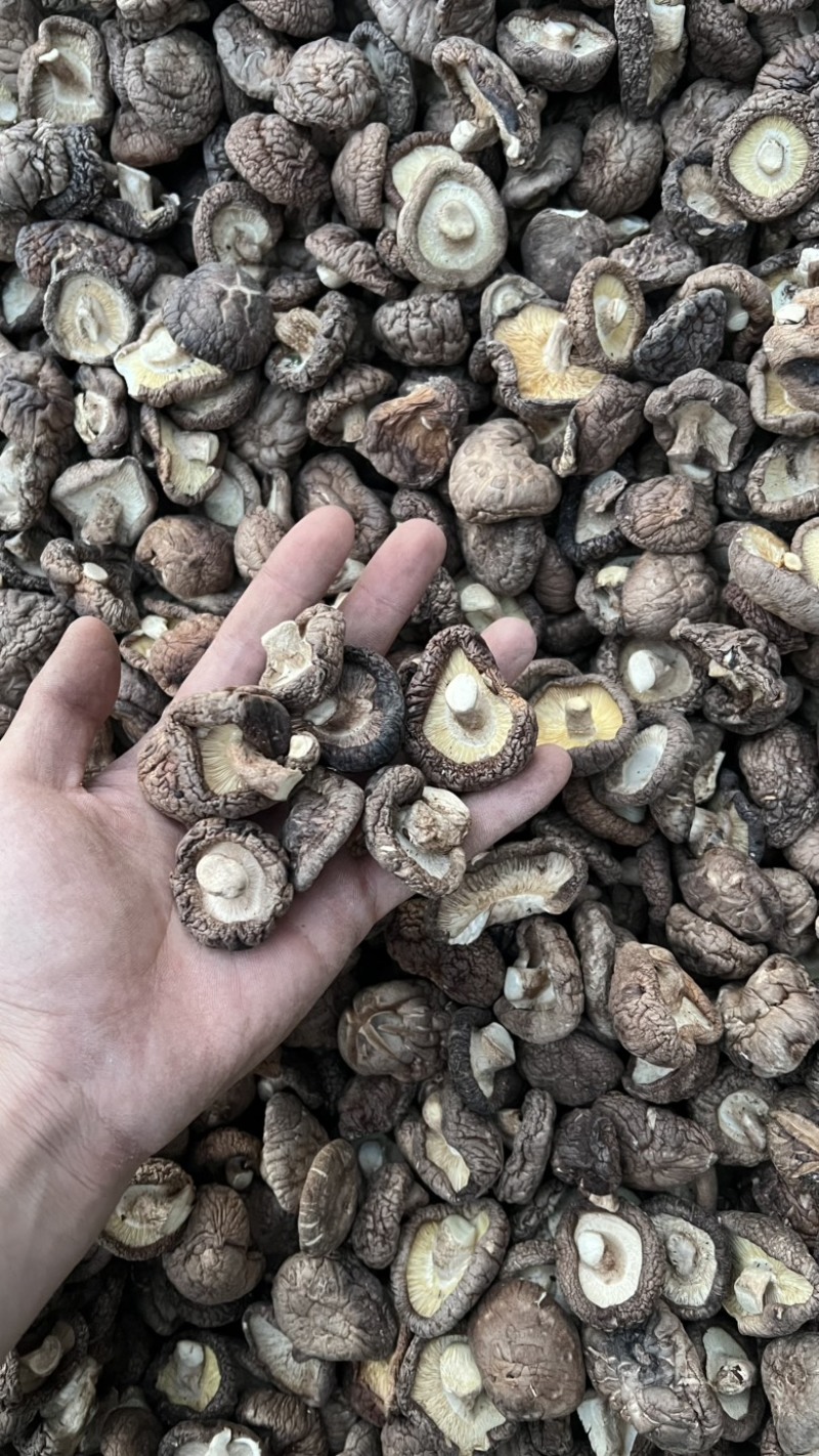 香菇干货原产地发货大量有货去柄