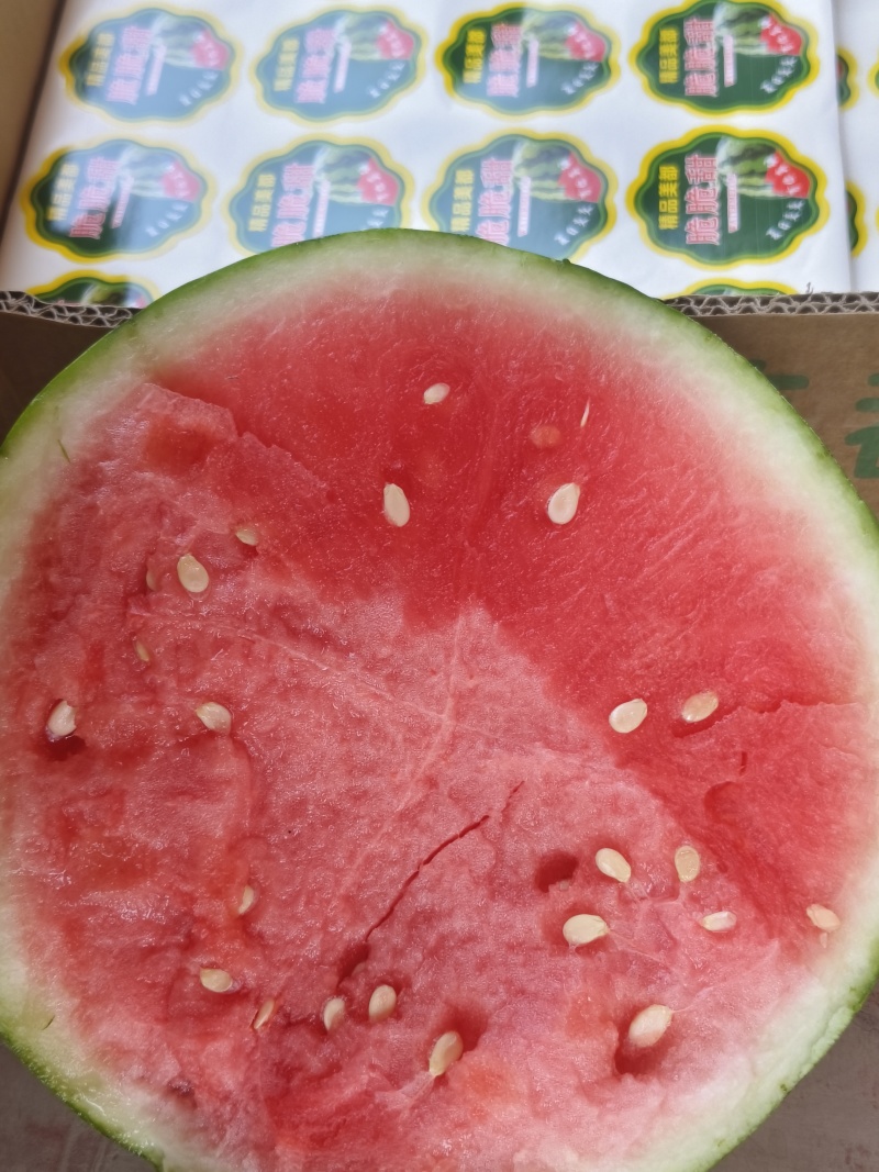 河南夏邑万亩西瓜产区711西瓜脆甜可口，保质保量