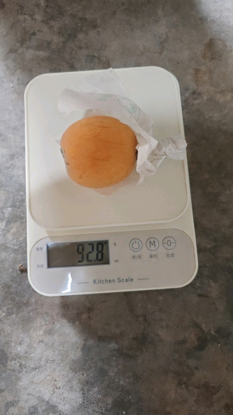 大五星枇杷有意向的拨号联系+微信联系通货中的精品