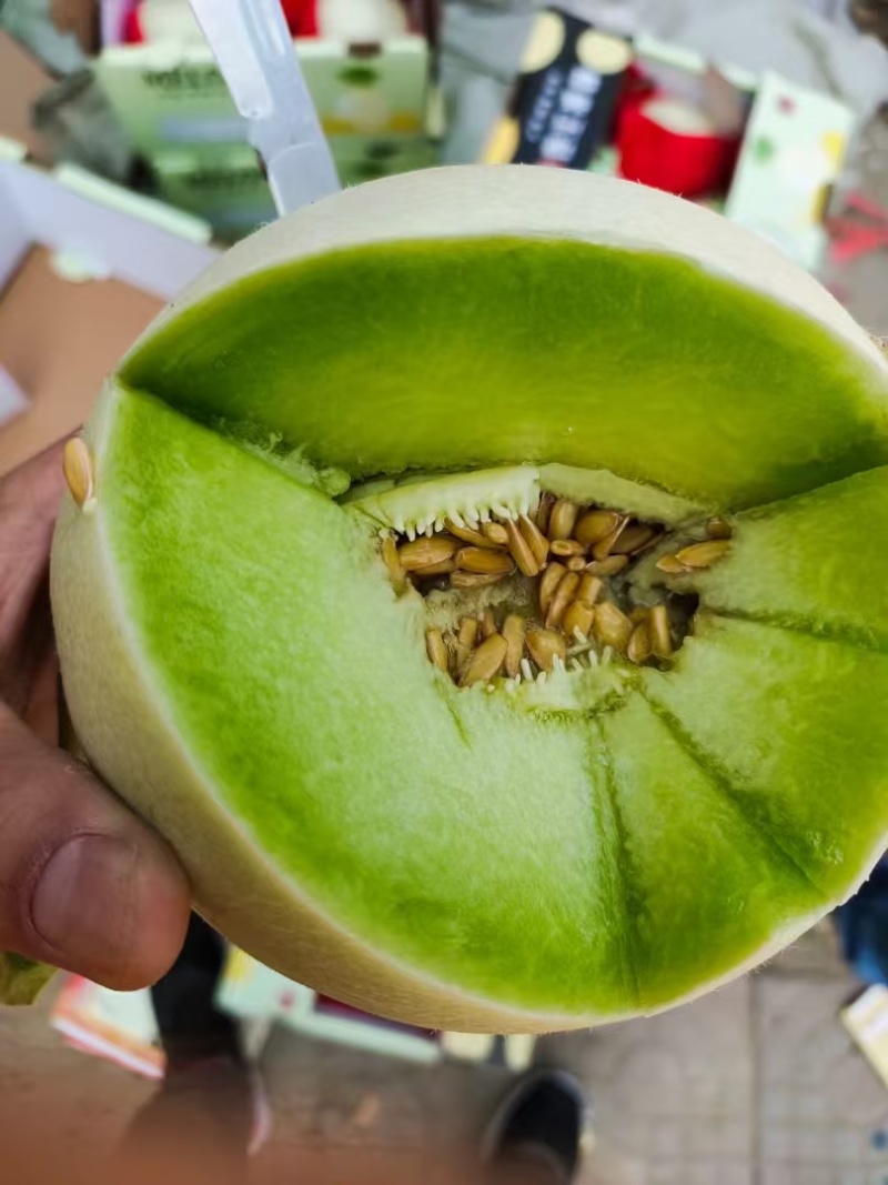 漂亮的玉菇，口感鲜甜，头匀称，大量有货。
