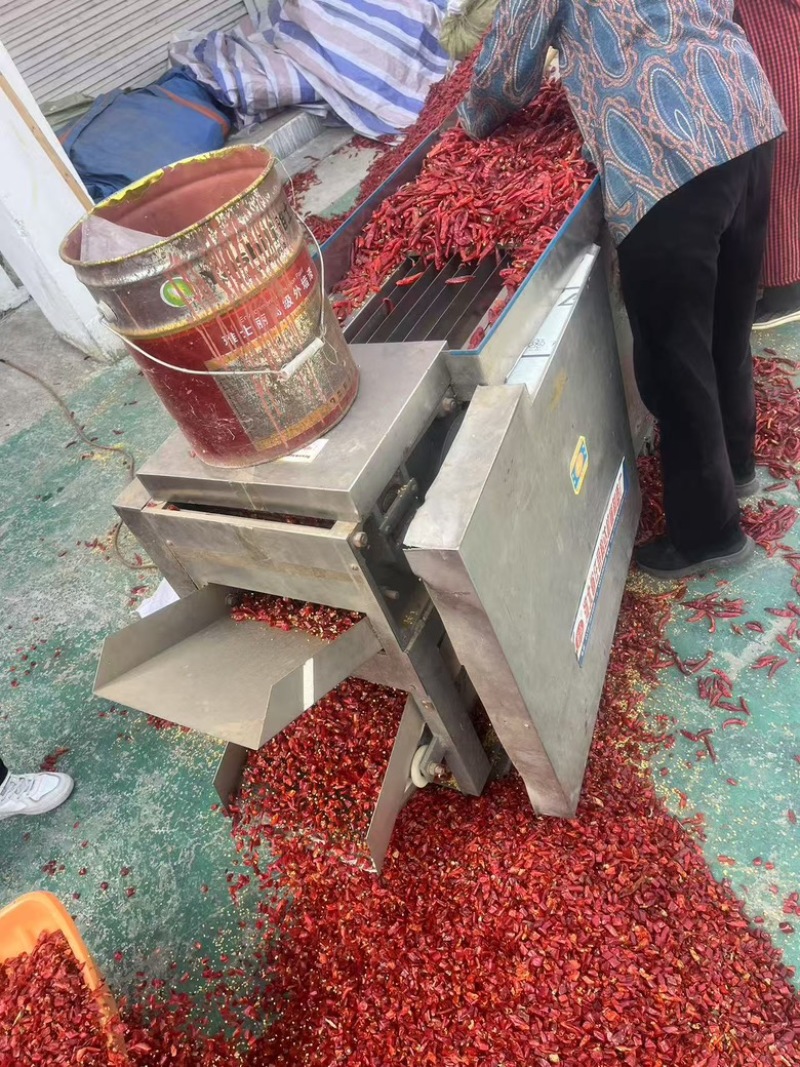 印度魔鬼辣椒段，品质保证，辣度充分，欢迎咨询选购