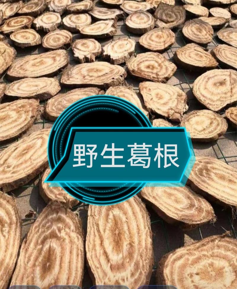 柴葛根大深山纯野生柴葛根，欢迎长期预定货