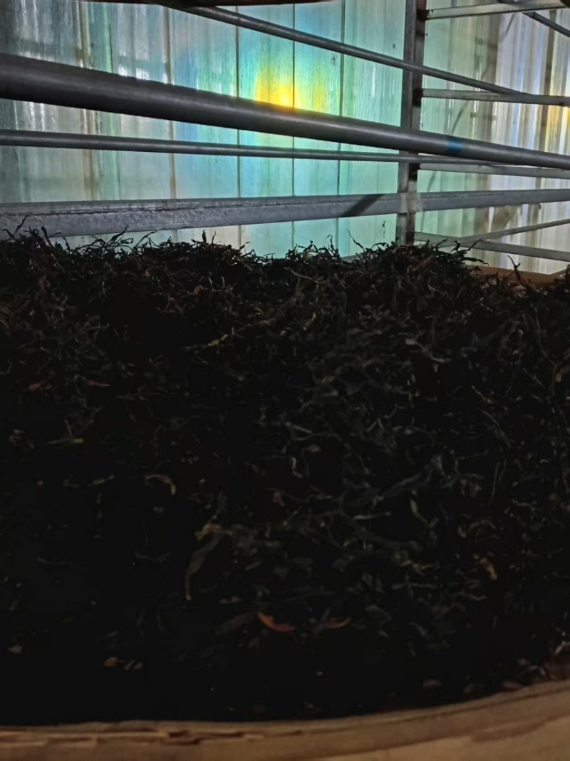 野生古树茶