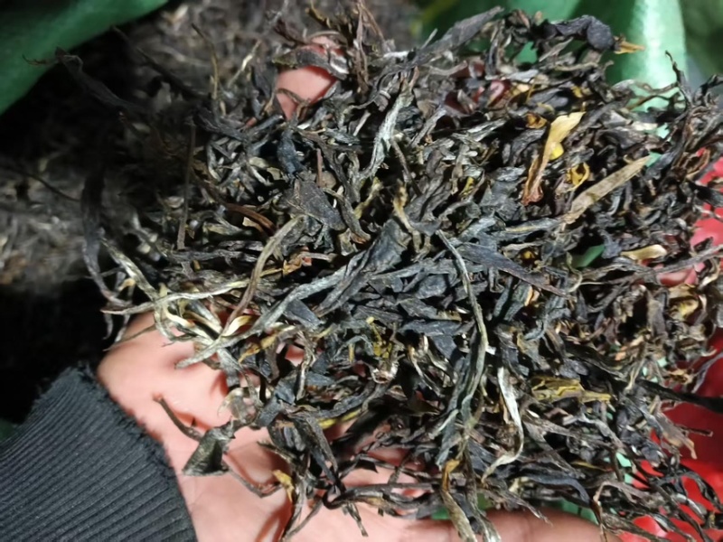 野生古树茶