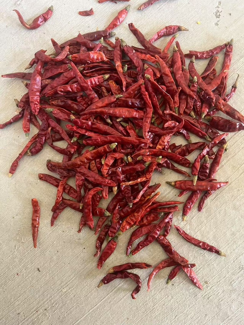 印度魔鬼辣椒，辣度充足，品质佳，规格齐全，欢迎选购