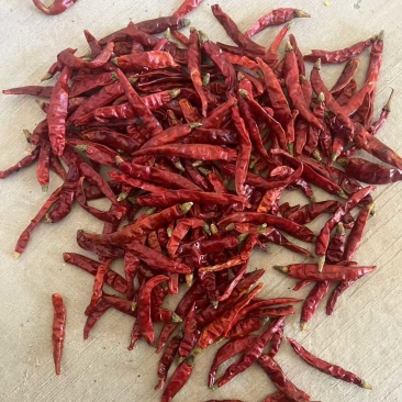 印度魔鬼辣椒，辣度充足，品质佳，规格齐全，欢迎选购